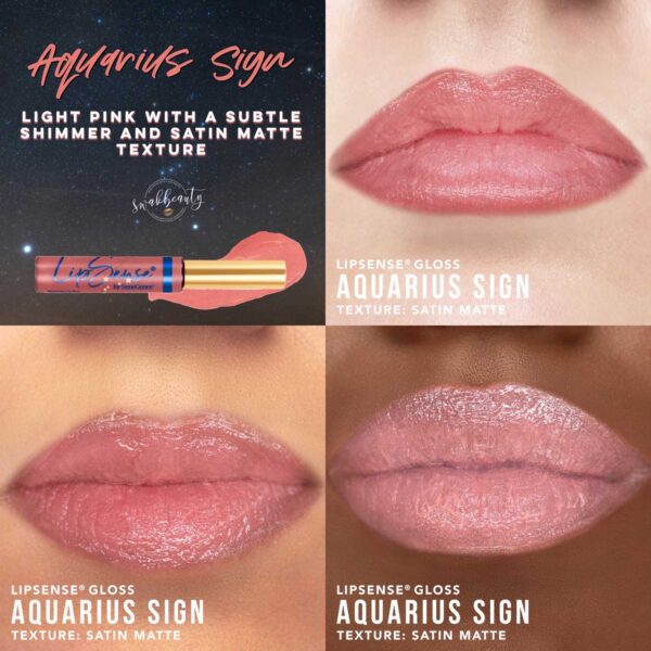 AquariusSignGloss-corp-4grid