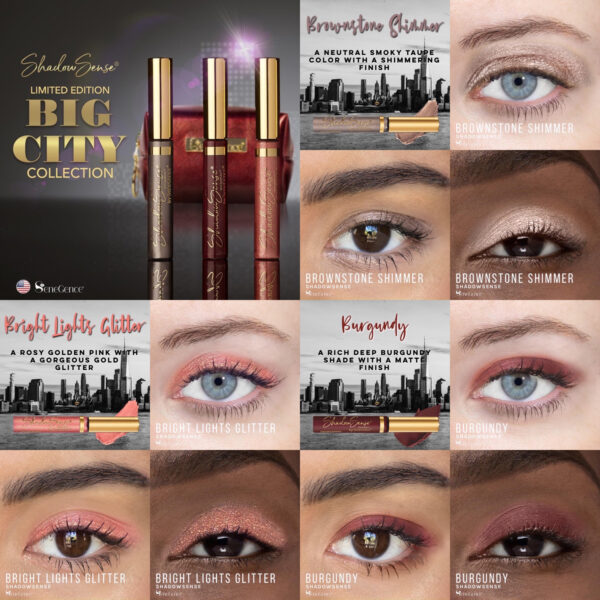 BigCitySS-4corpcover