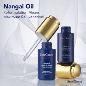 Nangai Oil (New & Improved Formula)