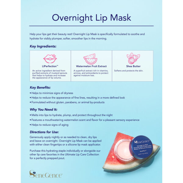 OvernightLipMask-info